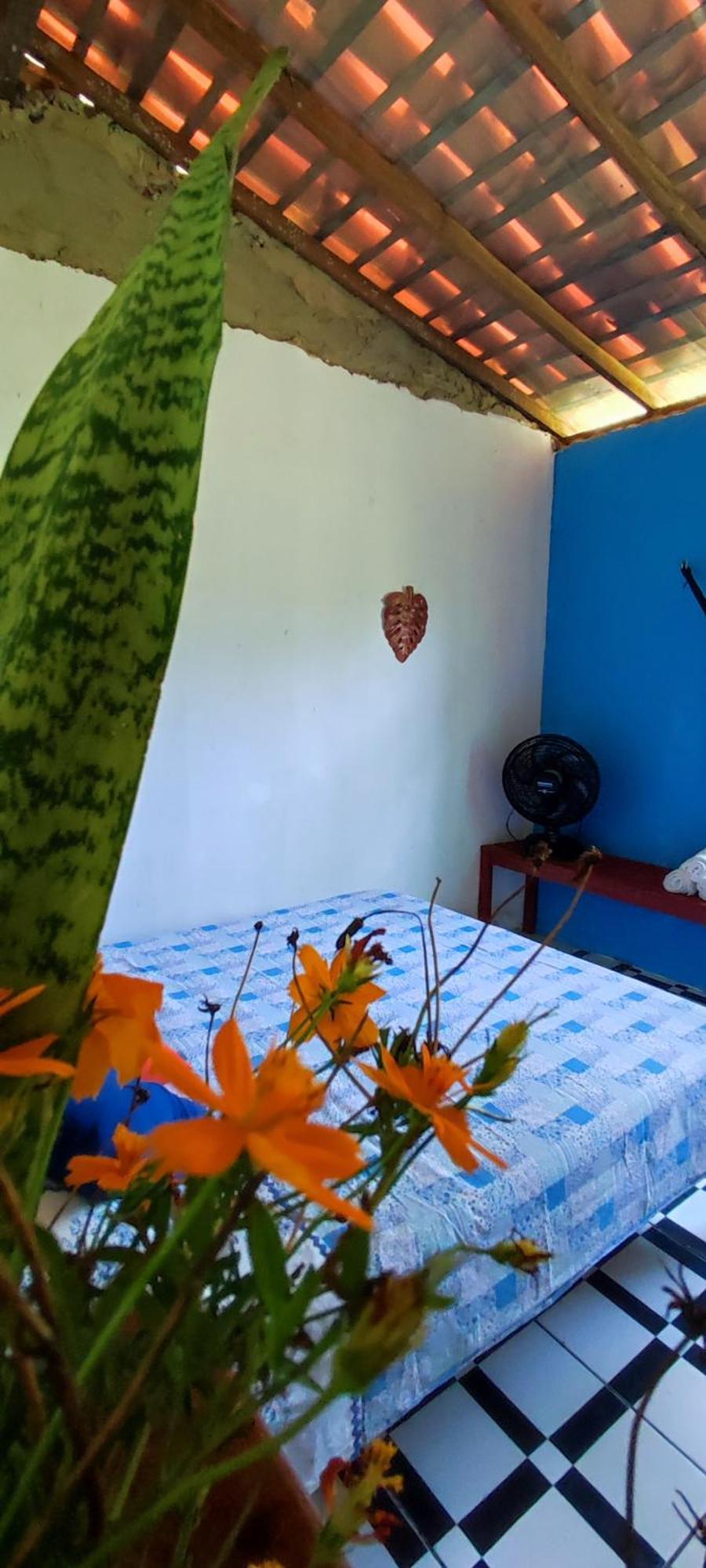 Eco Hostel Lunar Соуре Екстериор снимка