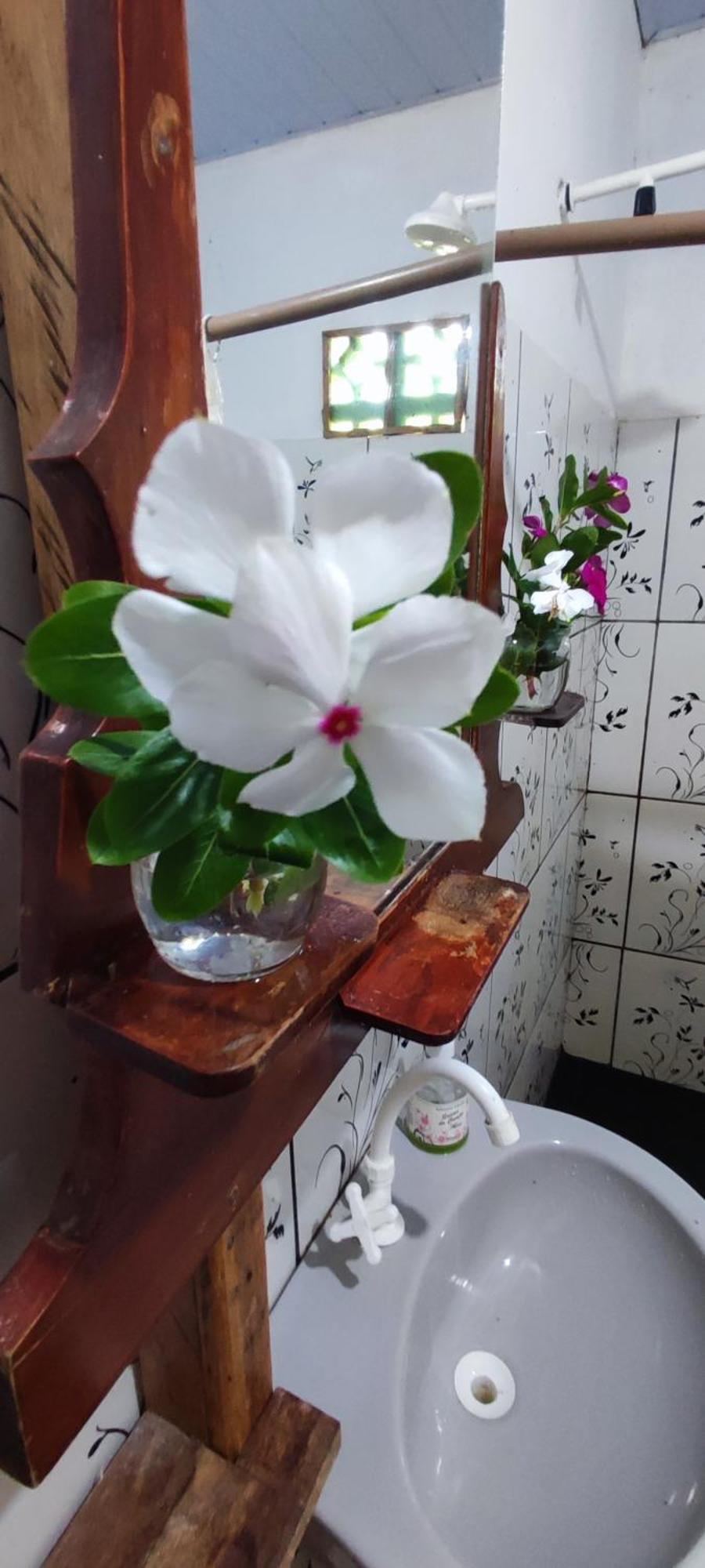 Eco Hostel Lunar Соуре Екстериор снимка